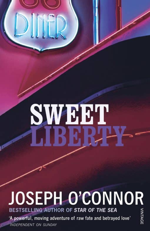 Sweet Liberty: Travels in Irish America