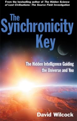 Synchronicity Key The Hidden Intelligence Guiding the Universe and You