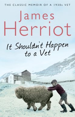 It Shouldn't Happen to a Vet