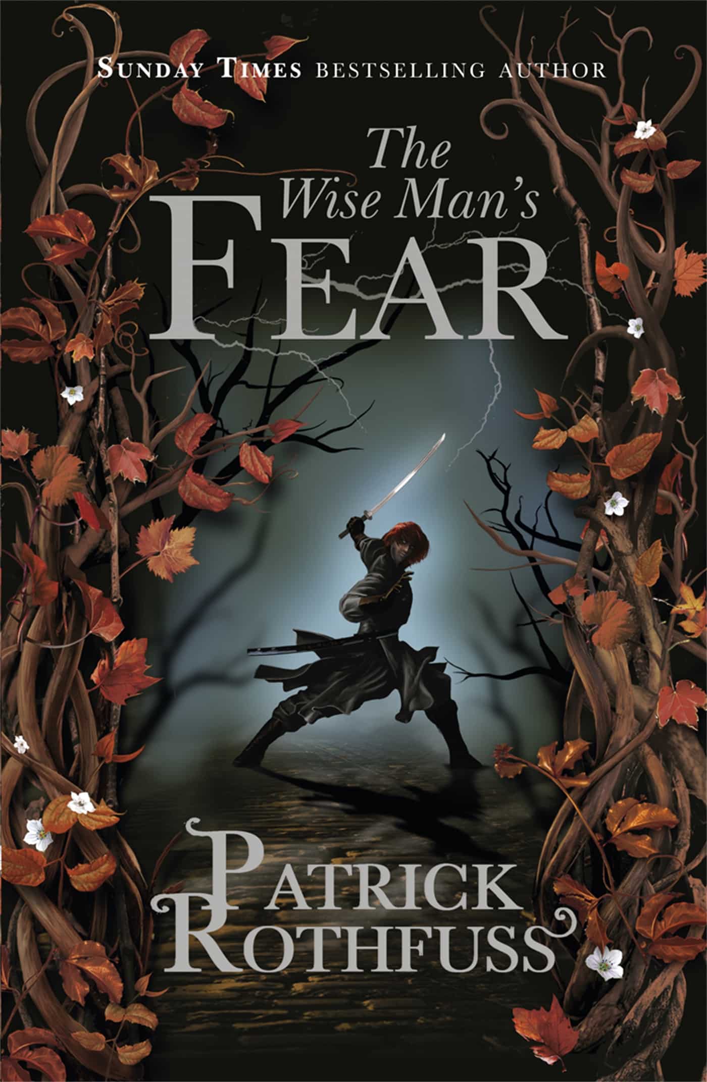 The Wise Man's Fear:The Kingkiller Chronicle: Book 2 1 The Wise Man's Fear:The Kingkiller Chronicle: Book 2