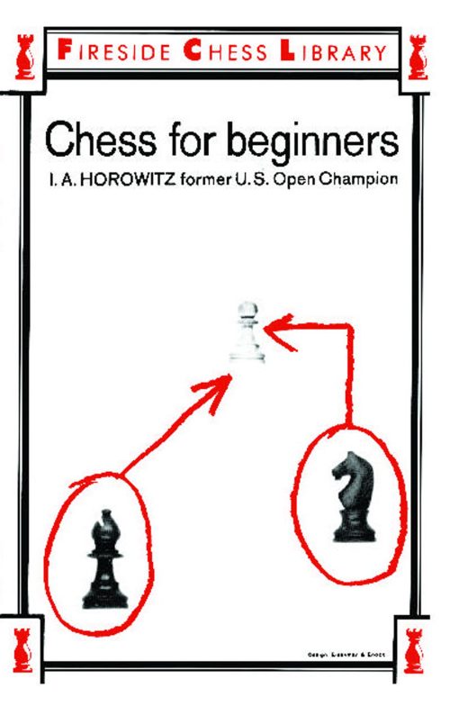 Chess For Beginners