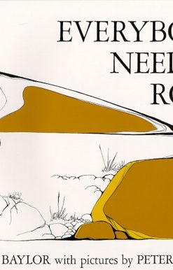 Everybody Needs a Rock