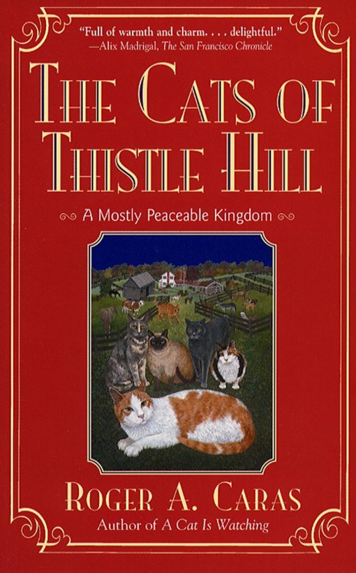 Cats Of Thistle Hill A Mostly Peaceable Kingdom