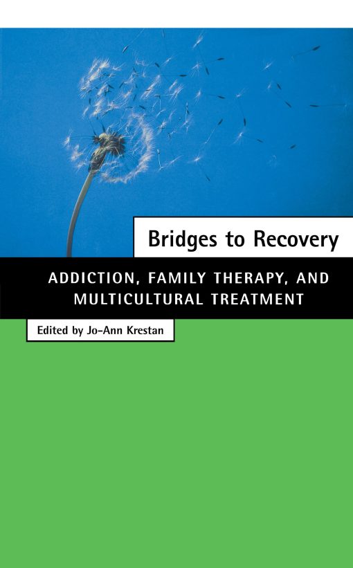 Bridges to Recovery Addiction, Family Therapy, and Multicultural Treatment