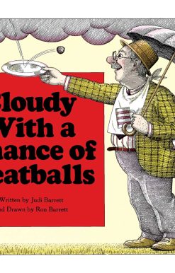Cloudy With a Chance of Meatballs