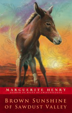 Brown Sunshine of Sawdust Valley