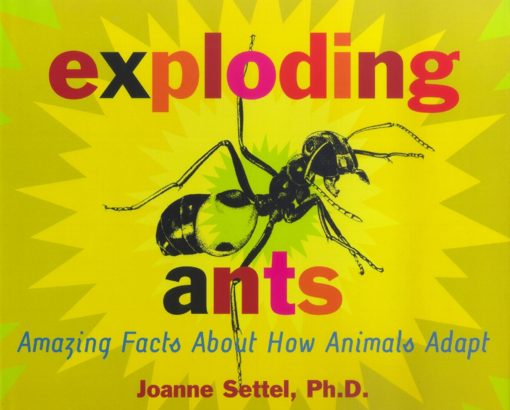 Exploding Ants Amazing Facts About How Animals Adapt