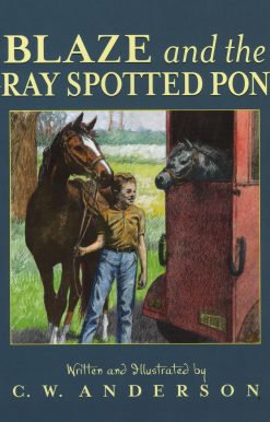 Blaze and the Gray Spotted Pony