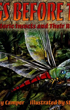 Bugs Before Time Prehistoric Insects and Their Relatives