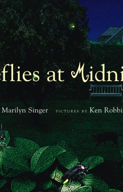Fireflies at Midnight