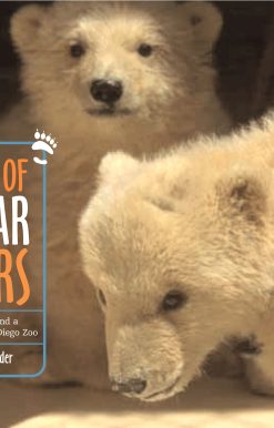 Twin Cubs Find a Home at the San Diego Zoo