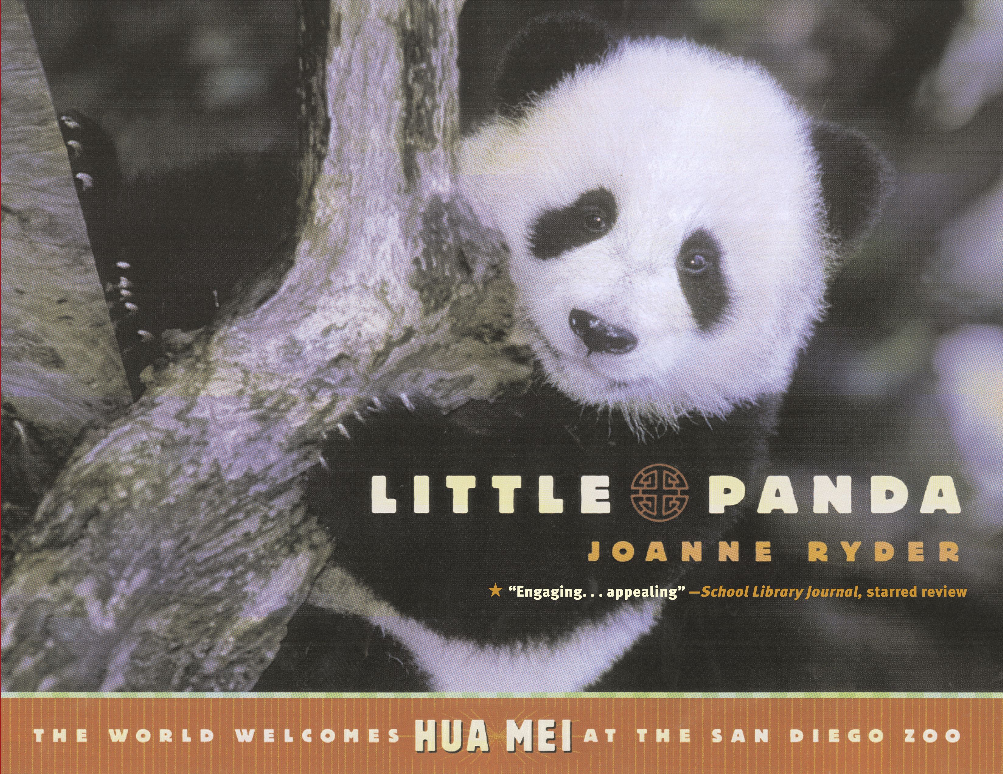 Little Panda The World Welcomes Hua Mei at the San Diego Zoo