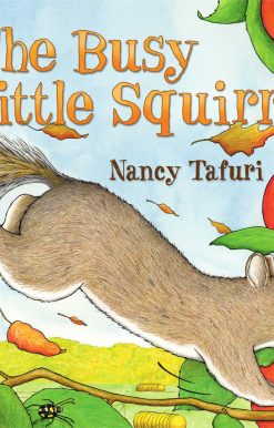 Busy Little Squirrel