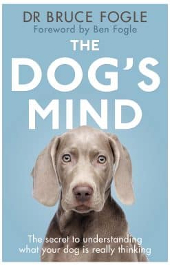 The Dog's Mind