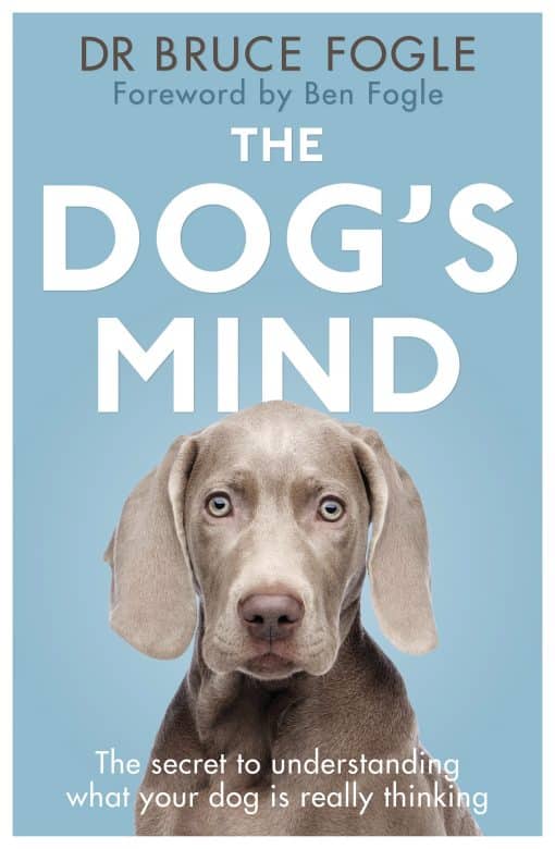 The Dog's Mind