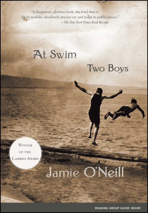 At Swim, Two Boys A Novel