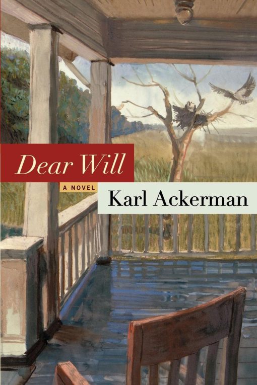 Dear Will A Novel