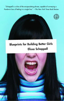 Blueprints for Building Better Girls Fiction