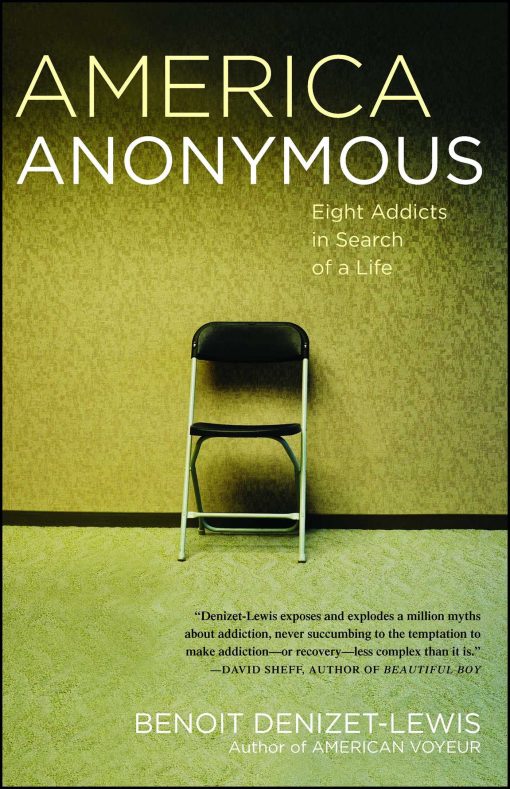 America Anonymous Eight Addicts in Search of a Life