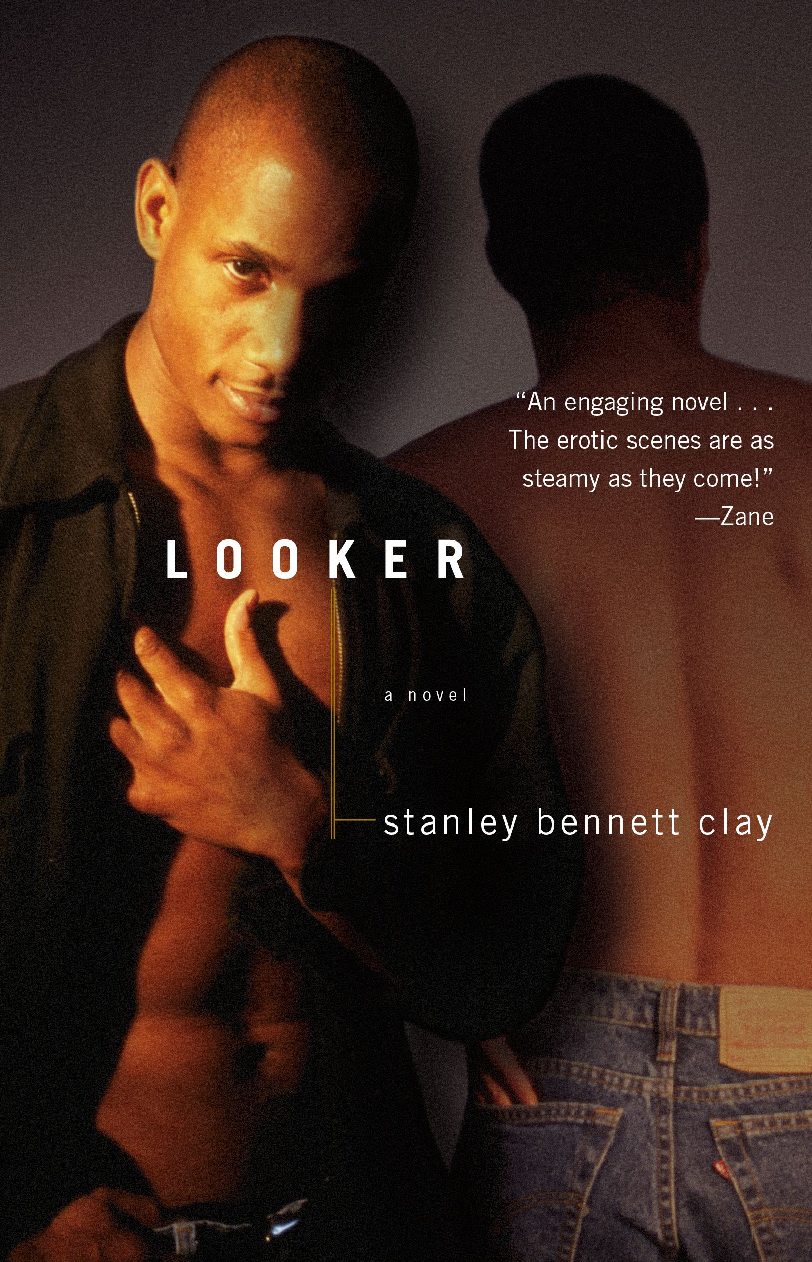 Looker A Novel