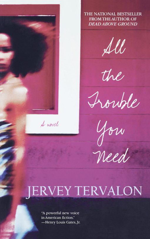 All the Trouble You Need A Novel