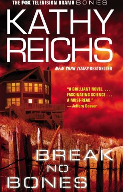 Break No Bones A Novel