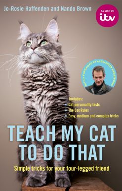 Teach My Cat to Do That