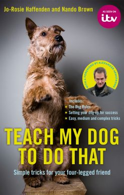 Teach My Dog To Do That