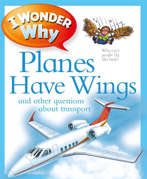 I Wonder Why Planes Have Wings