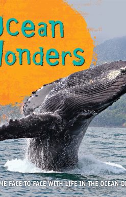 Fast Facts! Ocean Wonders