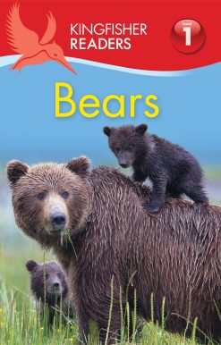 Kingfisher Readers: Bears (Level 1: Beginning to Read)