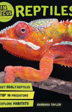 In Focus: Reptiles