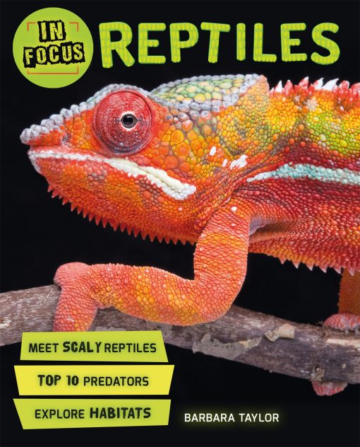 In Focus: Reptiles