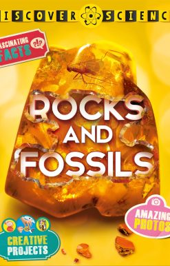 Discover Science: Rocks and Fossils