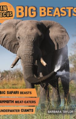In Focus: Big Beasts