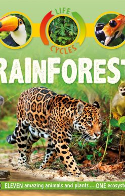Life Cycles: Rainforest