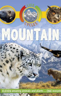 Life Cycles: Mountain