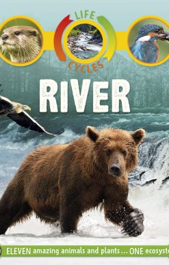 Life Cycles: River