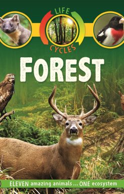 Life Cycles: Forest