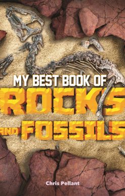 My Best Book of Rocks and Fossils