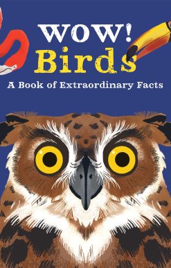 Wow! Birds