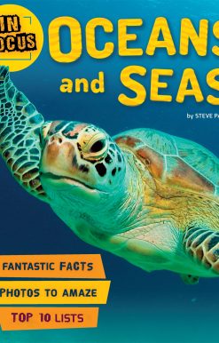 In Focus: Oceans and Seas