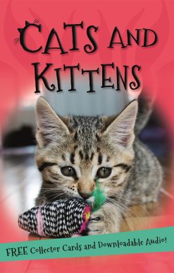 It's All About... Cats and Kittens