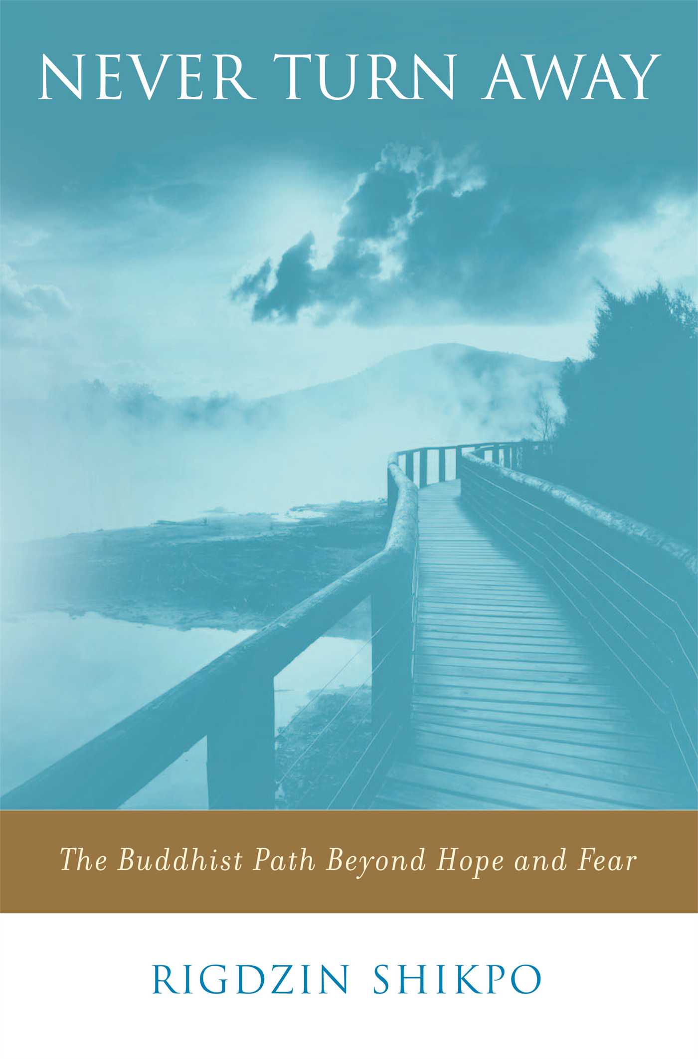 Never Turn Away The Buddhist Path Beyond Hope and Fear