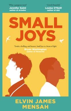 Small Joys: The most moving and uplifting debut novel of 2023