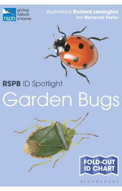 RSPB ID Spotlight - Garden Bugs