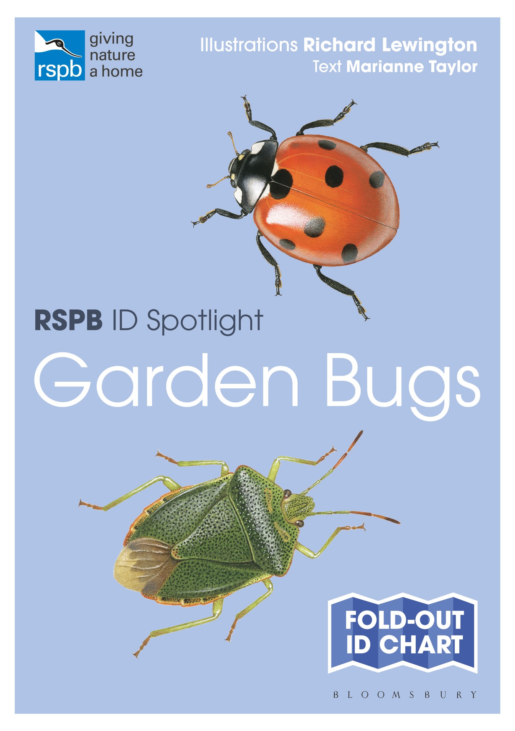 RSPB ID Spotlight - Garden Bugs 1 RSPB ID Spotlight - Garden Bugs