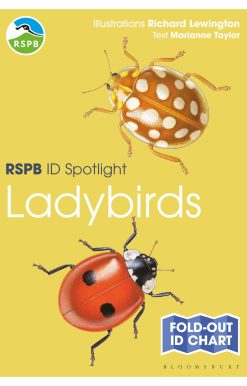 RSPB ID Spotlight - Ladybirds