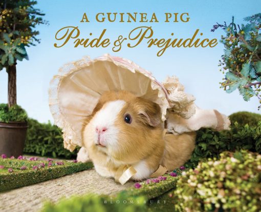 A Guinea Pig Pride & Prejudice