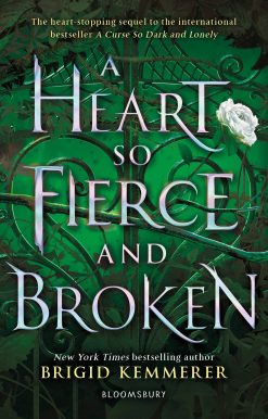 A Heart So Fierce and Broken